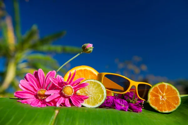 Тропічні цитрусові квіти та сонцезахисні окуляри — стокове фото