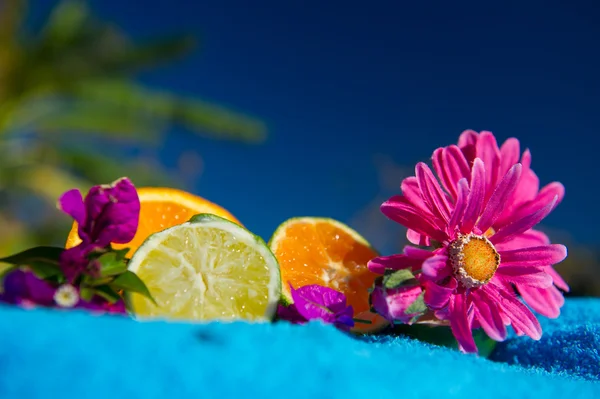 Tropiska citrusfrukter — Stockfoto
