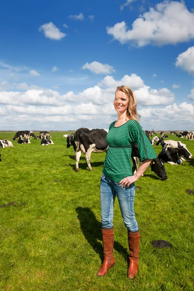 Chica holandesa en el campo con vacas — Foto de Stock
