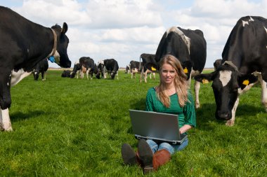 Dutch girl in field with cows clipart