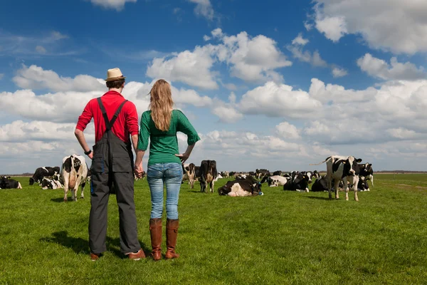 典型的荷兰景观与农民夫妇和奶牛 — 图库照片