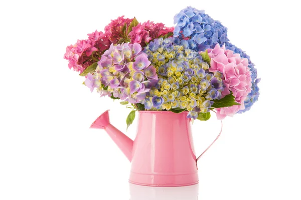 花束粉色和蓝色绣球花 — 图库照片