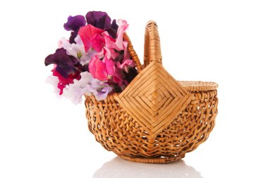 Lathyrus sepette karışık buket