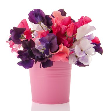 Bouquet Lathyrus clipart