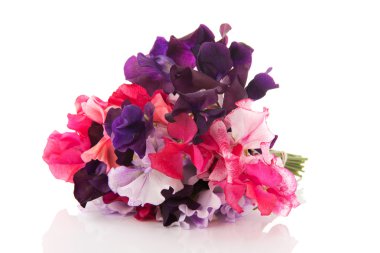 Bouquet mixed Lathyrus clipart