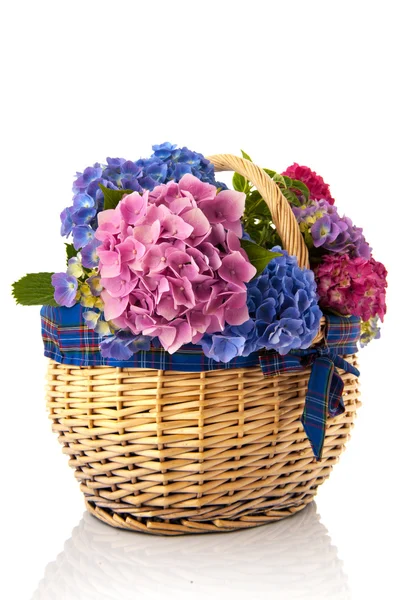 Boeket roze en blauwe hortensia — Stockfoto