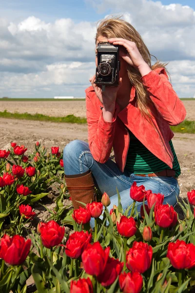 チューリップ フィールドの古い写真をカメラでオランダのブロンドの女の子 — ストック写真