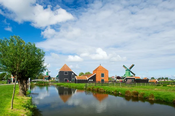 Typisch holländische Landschaft — Stockfoto
