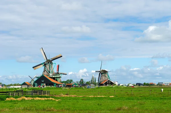Windmills at the Zaanse schans — Stock Photo, Image