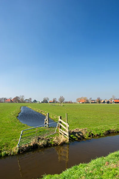 Typical Dutch landscape — Stock Photo, Image