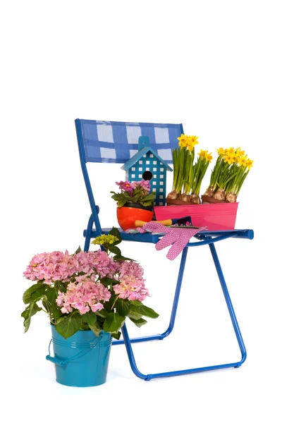 Garden chair — Stock Photo, Image