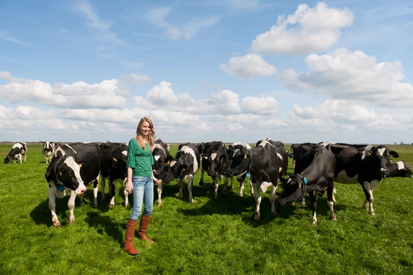 Nederlandse meisje in veld met koeien — Stockfoto