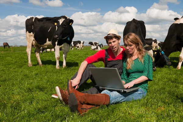 Młodzi rolnicy na polu z krowami — Zdjęcie stockowe