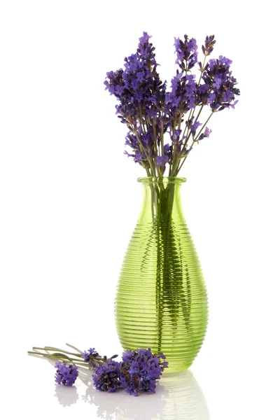Vase mit Lavendel — Stockfoto