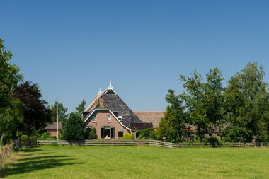 tipik Hollanda çiftlik evi