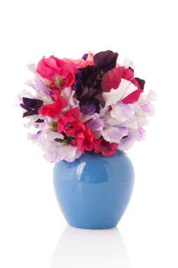 Bouquet Vetchling clipart