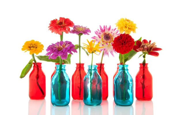 Colorful flowers in bottles — Stock Photo, Image