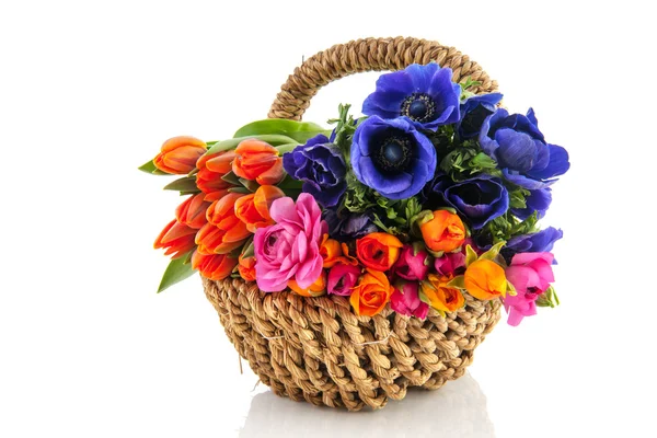 Sepeti renkli çiçekler — Stok fotoğraf