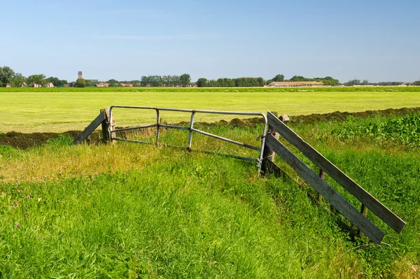 Nederlandse landschap in groningen — Stockfoto