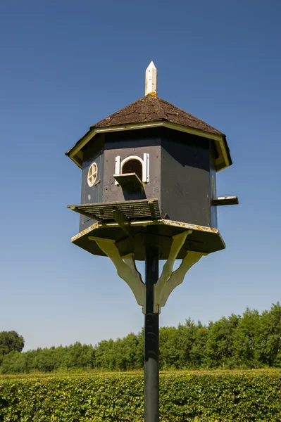 Loft para pombas — Fotografia de Stock