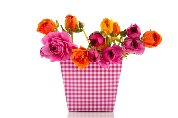 Lattughe colorate bouquet — Foto Stock