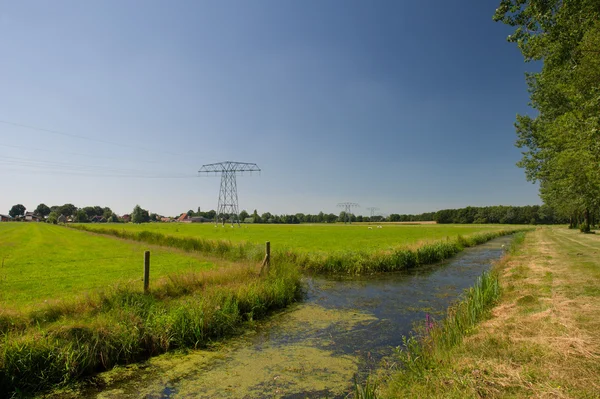 Hollandsk landskab i Friesland - Stock-foto