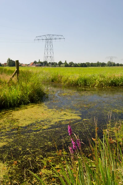 stock image Dutch landscape in Friesland