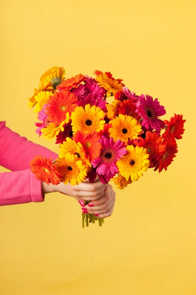 Bouquet Gerber su giallo — Foto Stock