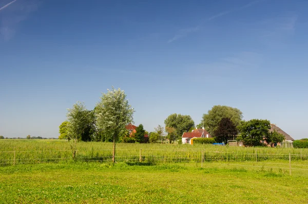Dutch landscape in Groningen — Stock Photo, Image