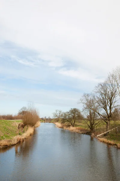 Typical Dutch ditch with willows — Stock Photo, Image