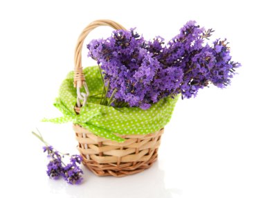 Basket Lavender twigs clipart