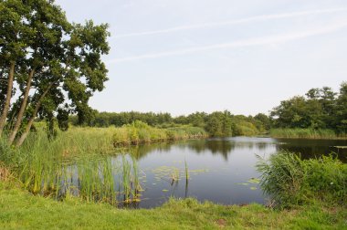 Water landscape in Holland clipart