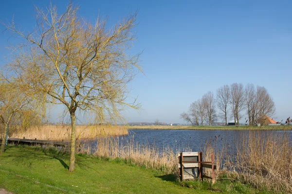 Nederlandse landschap op eiland — Stockfoto