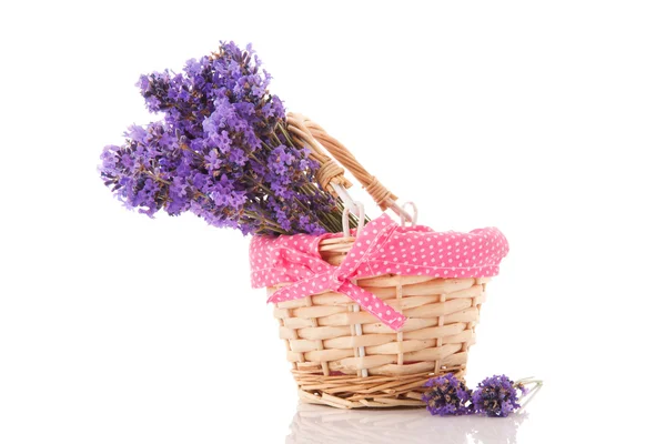 Blumenstrauß Lavendel im Korb — Stockfoto