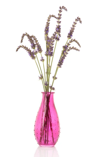 Розовая ваза с лавандой — стоковое фото