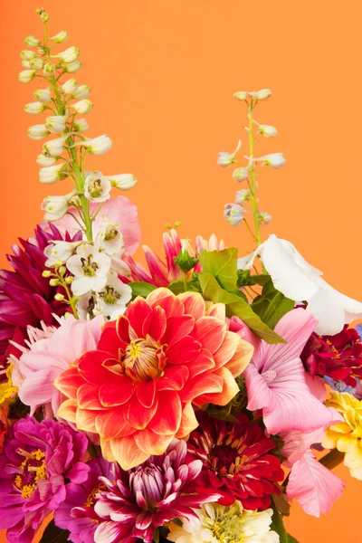 Bukett blommor på orange — Stockfoto