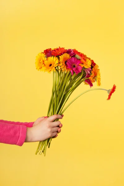 黄色の花束ガーバー — ストック写真