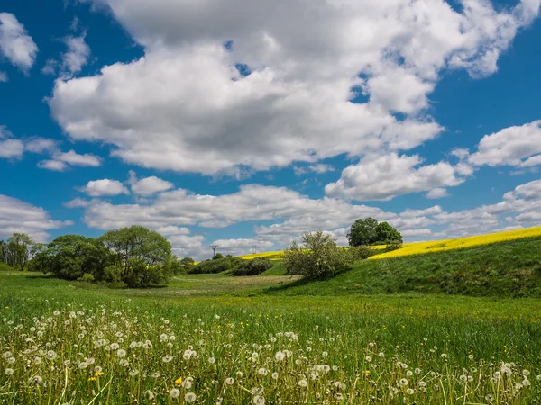 stock image Landscape