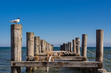 Baltık Denizi kıyısında groyne