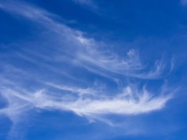 stock image Clouds