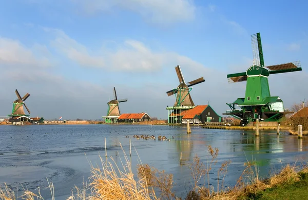 Holenderskie wiatraki — Zdjęcie stockowe