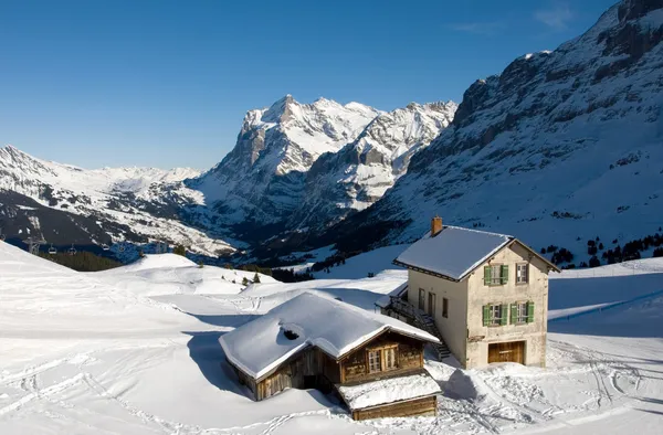 Kleine Scheidegg - Chalets — Stok fotoğraf