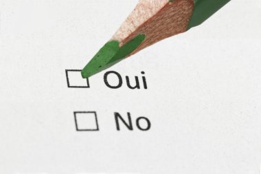 French questionnaire yes or not clipart