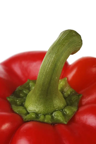 Röd paprika närbild — Stockfoto