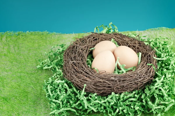 Äggen — Stockfoto