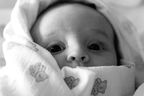 O bebê — Fotografia de Stock