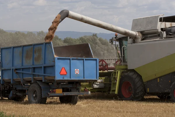 Harvester in work — Stock Photo, Image