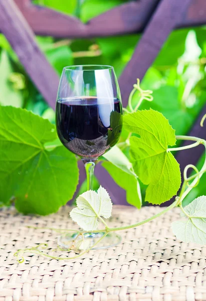Kırmızı şarap, üzüm bağı ile cam. — Stok fotoğraf