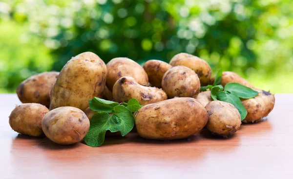 Çiğ patates. — Stok fotoğraf