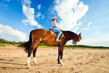 Cowgirl clipart